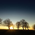 Abendstunde auf dem Schauinsland