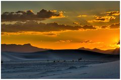 Abendstunde bei White Sands