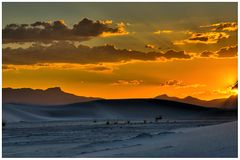 Abendstunde bei White Sands