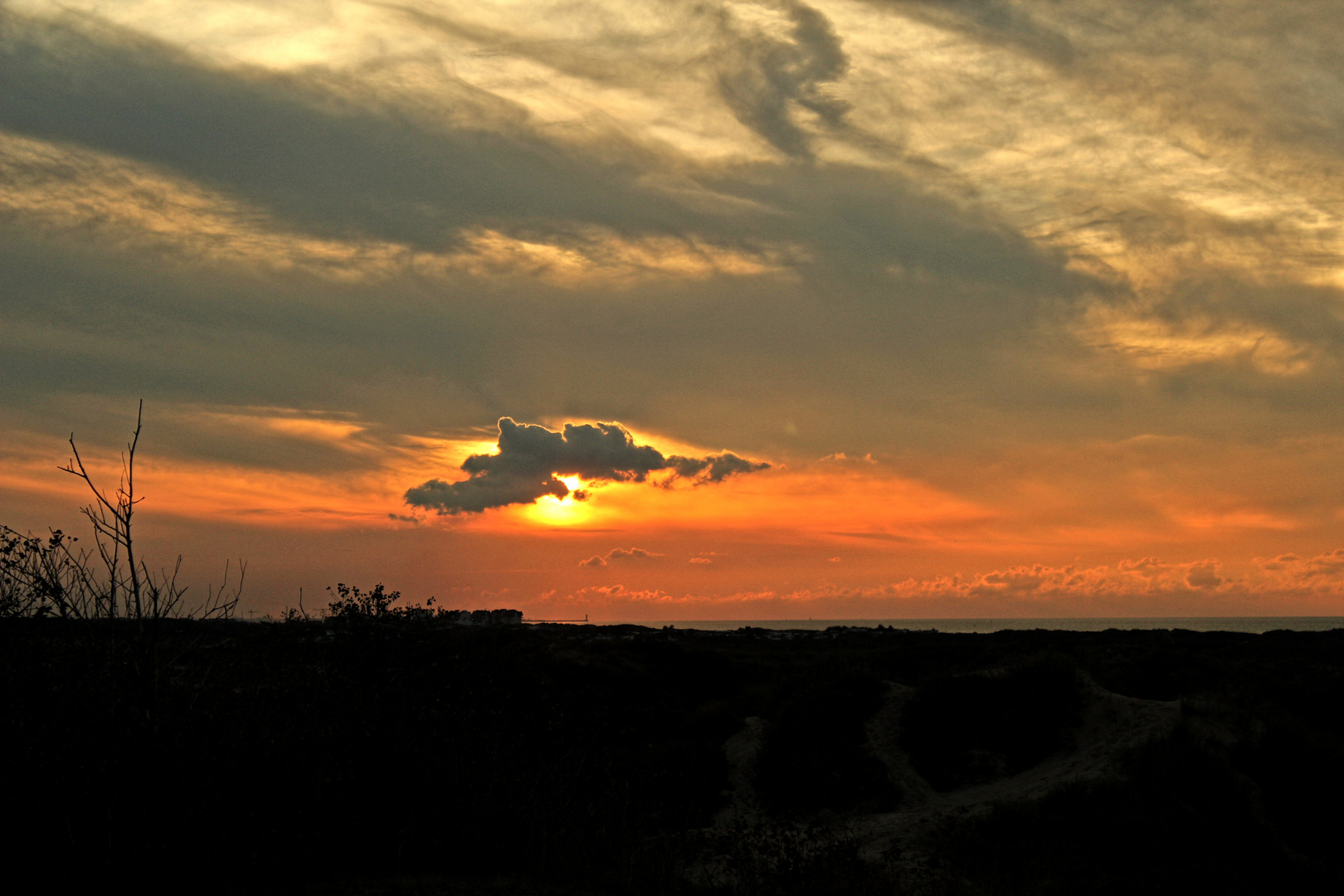 Abendstunde in den Dünen von Westhoek