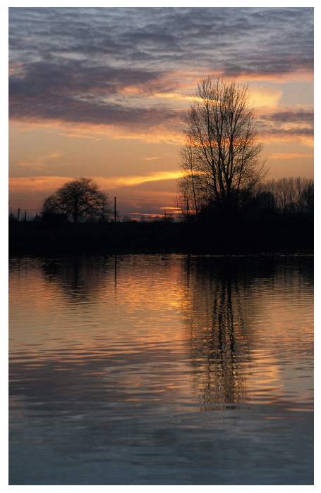 Abendstunden am Teich