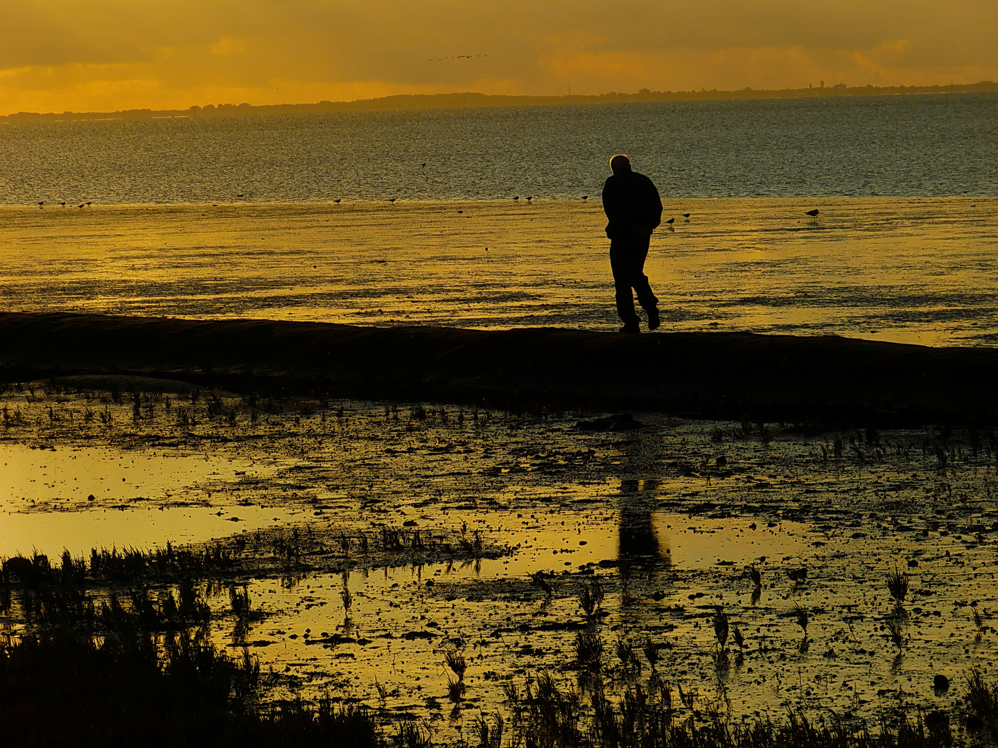 Abendstunden in Neuharlingersiel