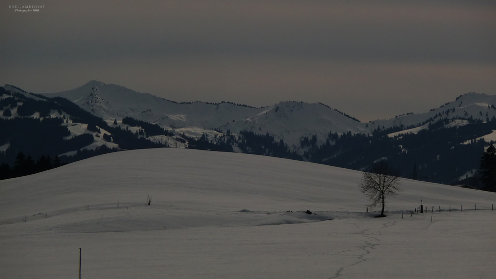 "Abendstunden Um Den Grünten 3 - Wo Willst Du Hin"