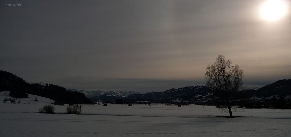 "Abendstunden Um Den Grünten 4 - Bist Du Am Leben Interessiert"