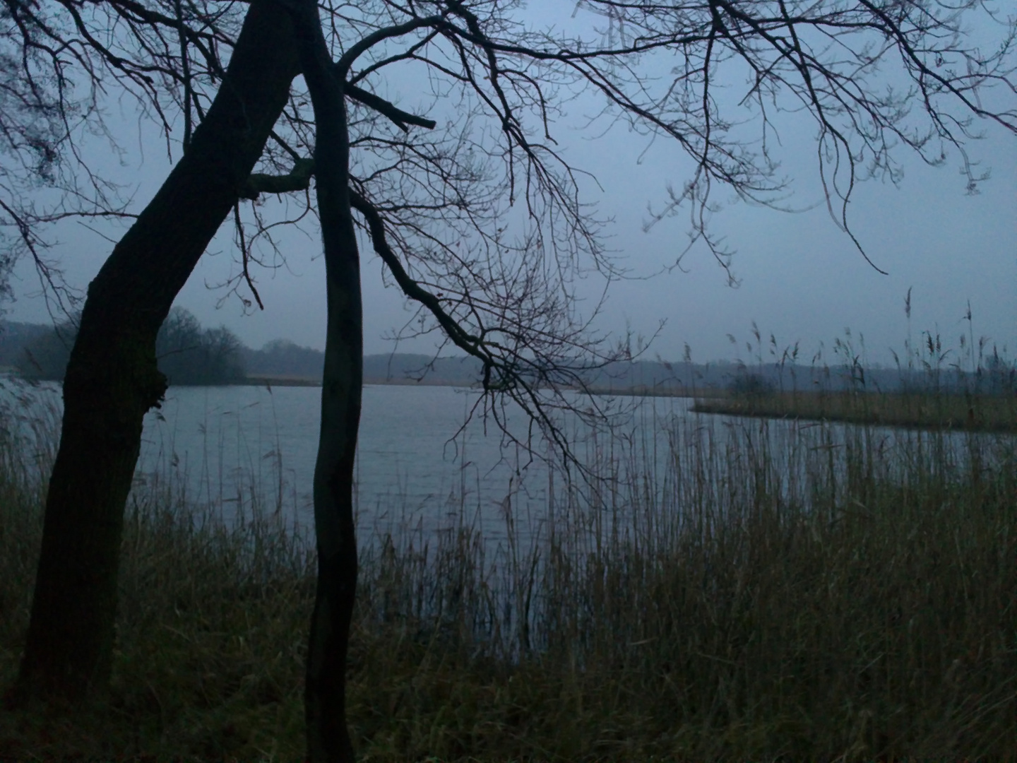 Abendteich