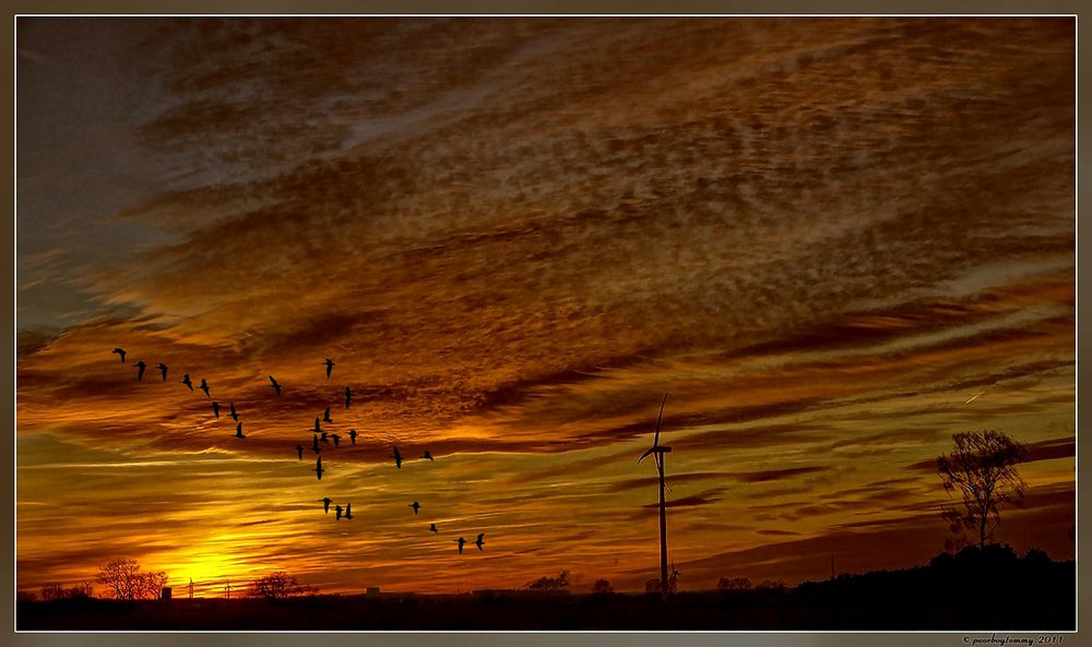 Abendträume