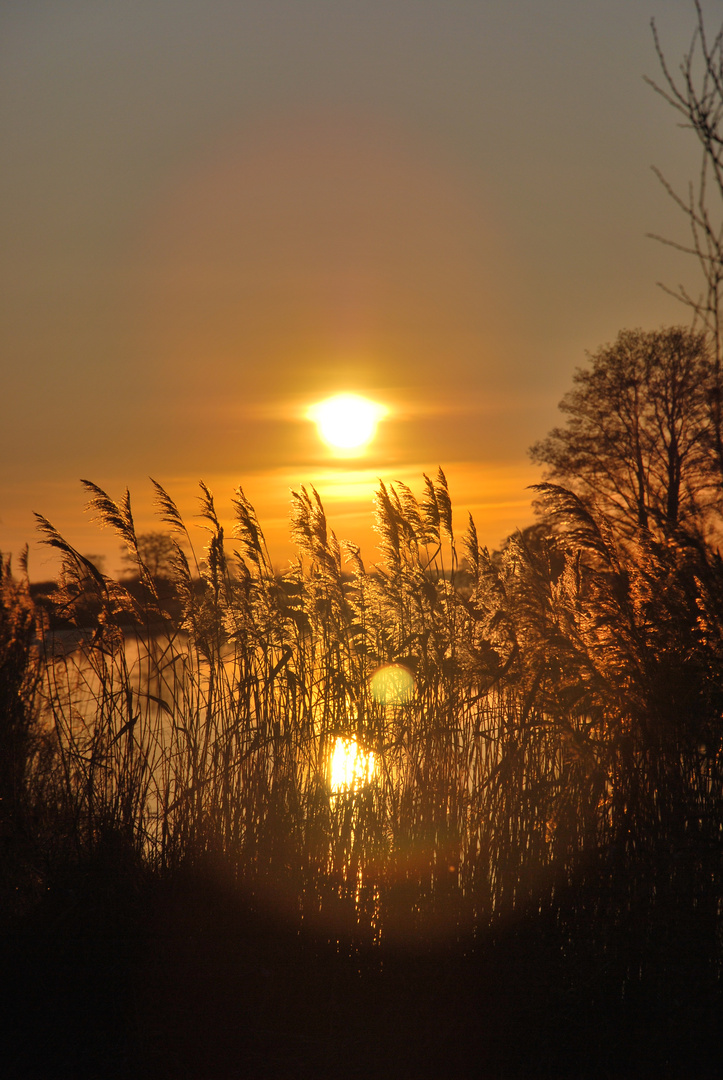 Abendunntergang an der Hamme