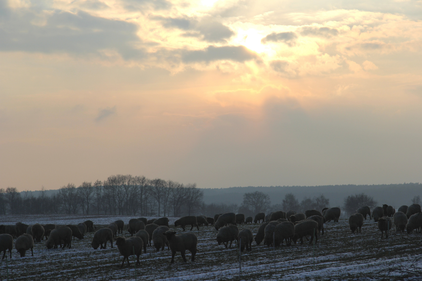 Abendversammlung ...