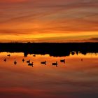 Abendversammlung im Himmelmoor