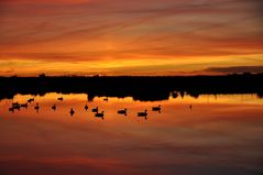 Abendversammlung im Himmelmoor