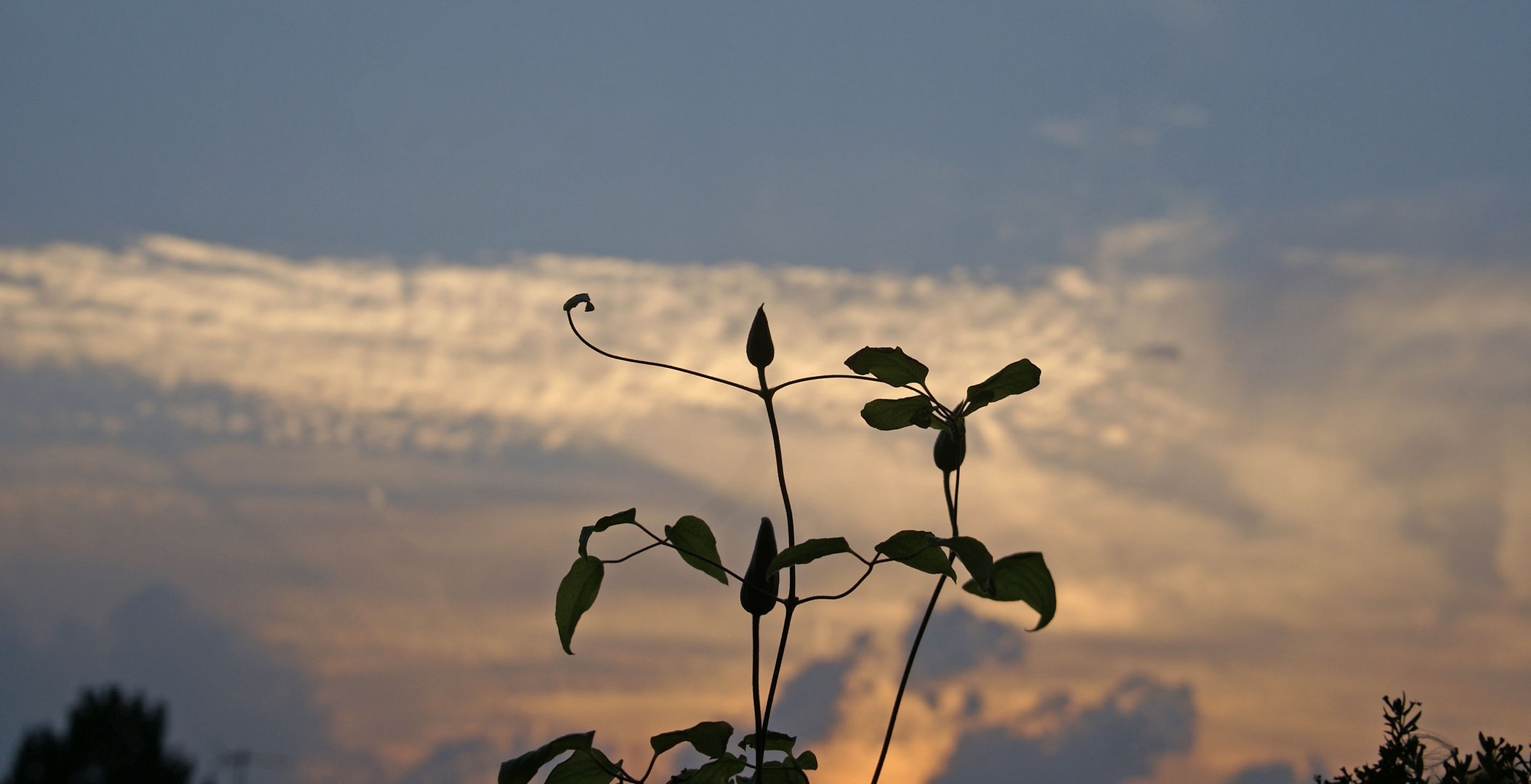 Abendvorstellung