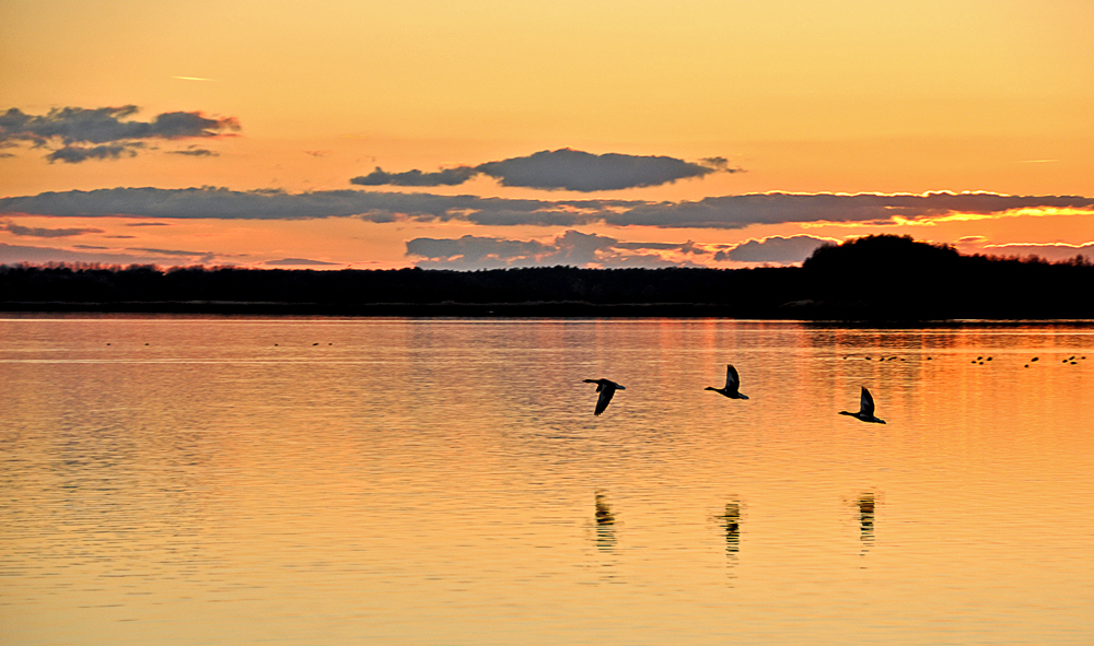 abend.wärts