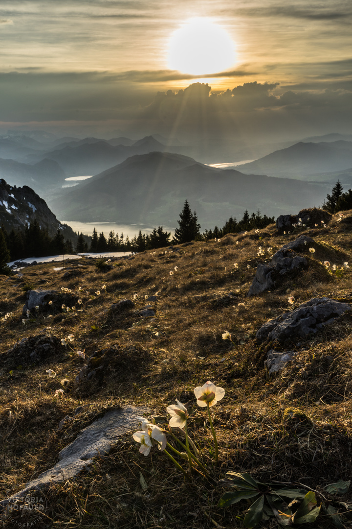 Abendwanderung