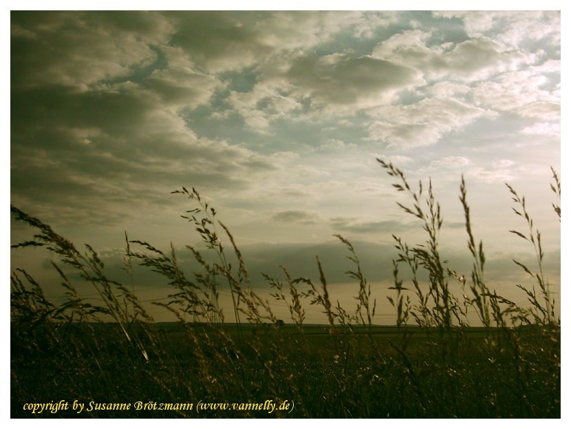 Abendwind von S. Brötzmann