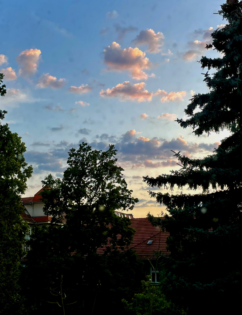 Abendwölkchen mit 2 Nasenstubsern