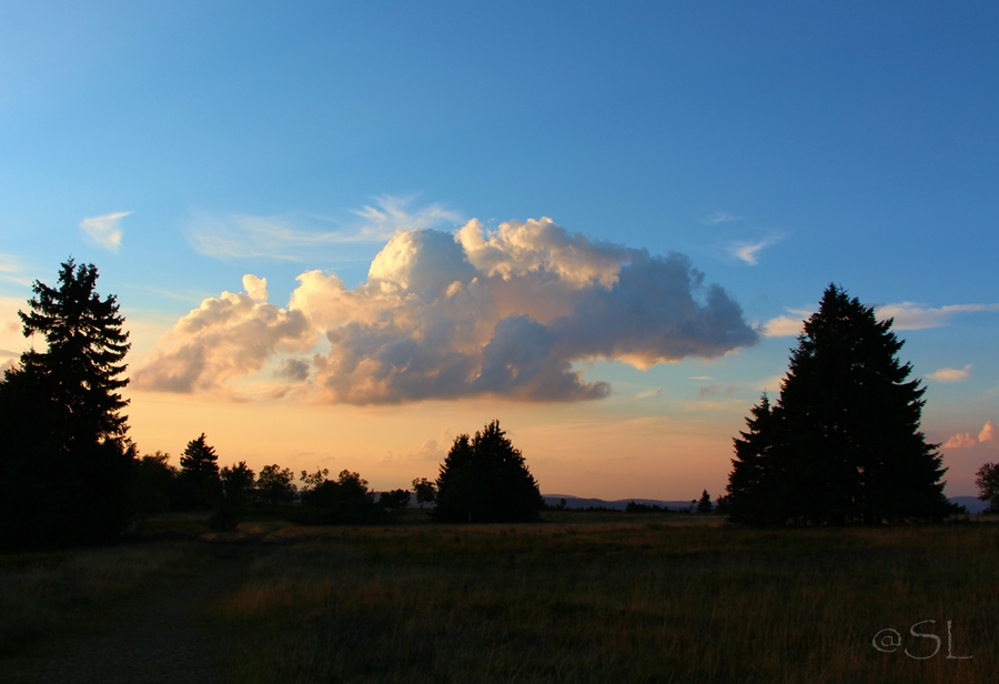 Abendwolken