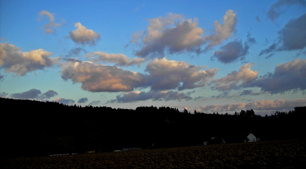 Abendwolken (3)