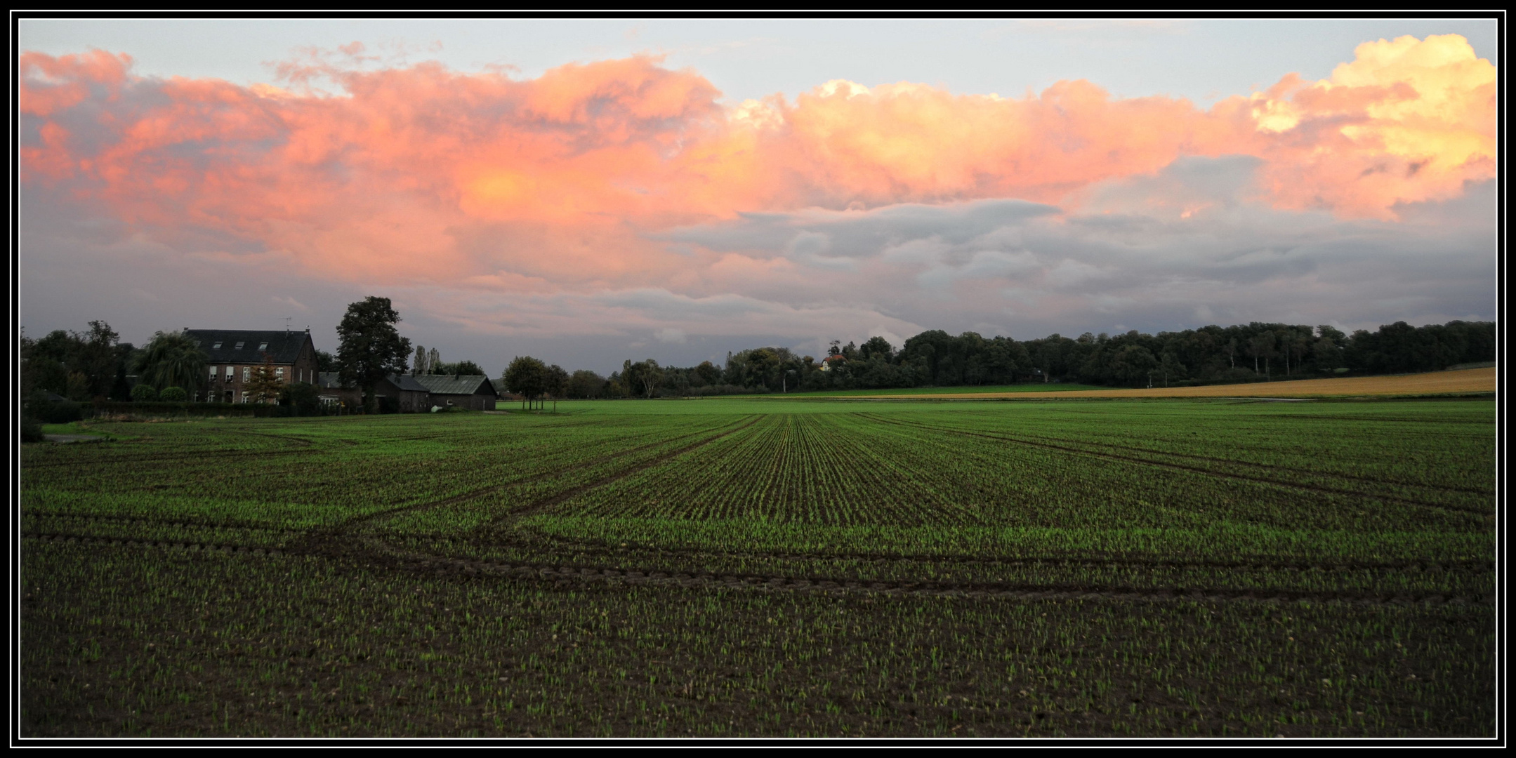 Abendwolken