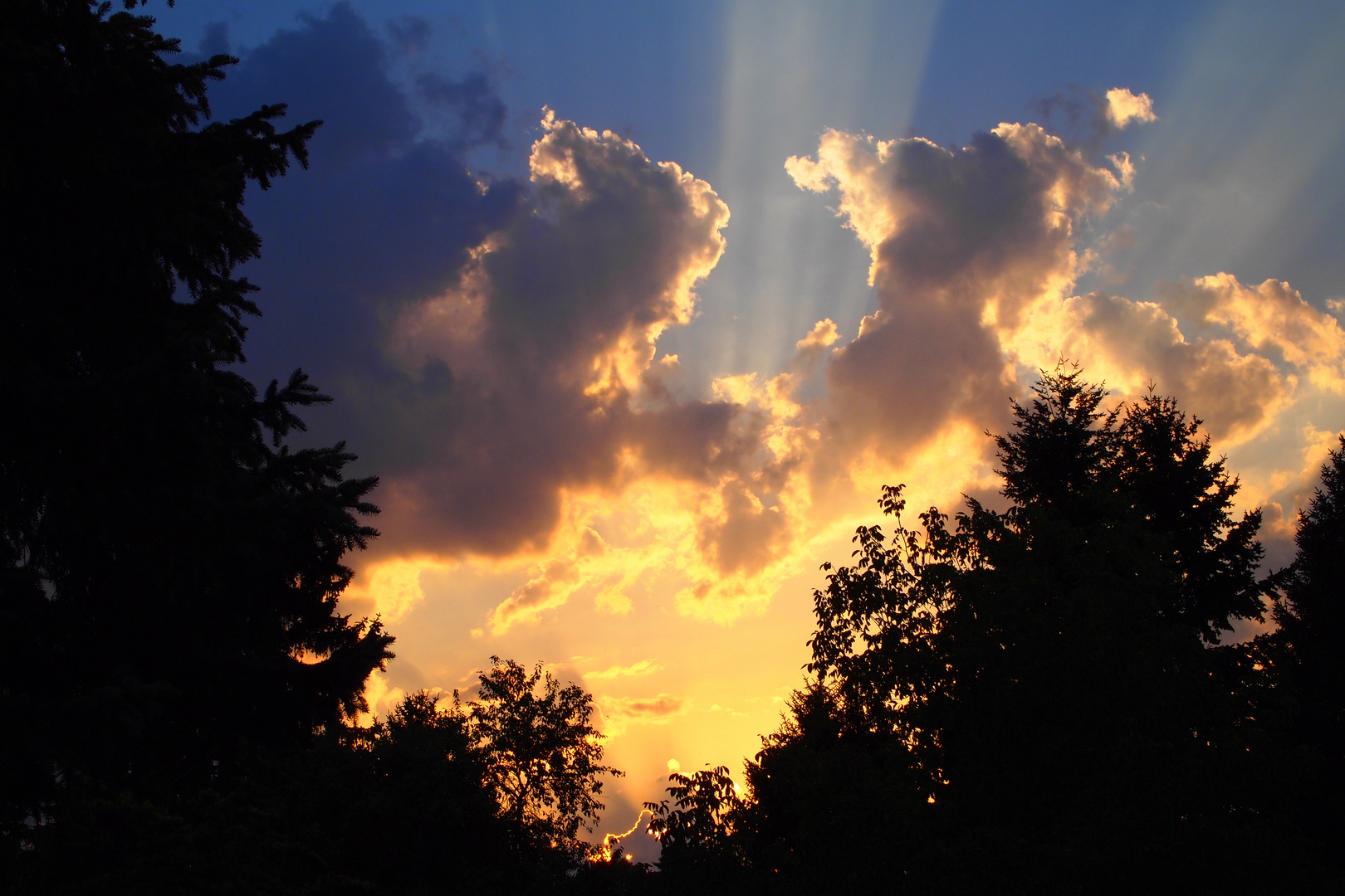 Abendwolken