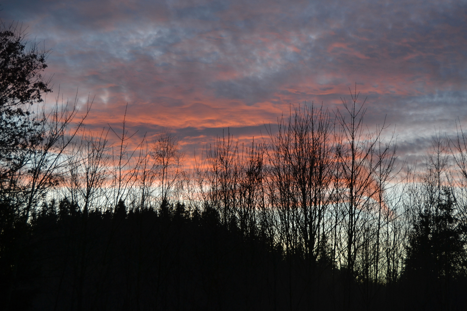 Abendwolken