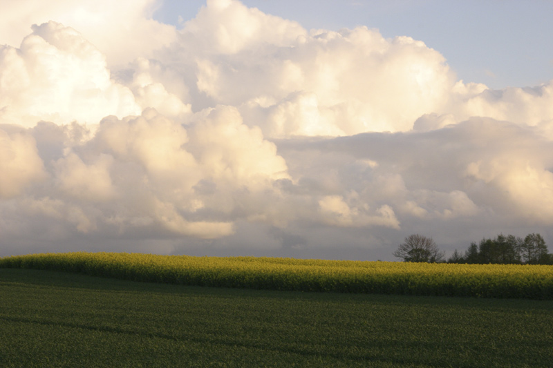 Abendwolken