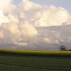 Abendwolken