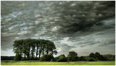 Abendwolken im Allertal