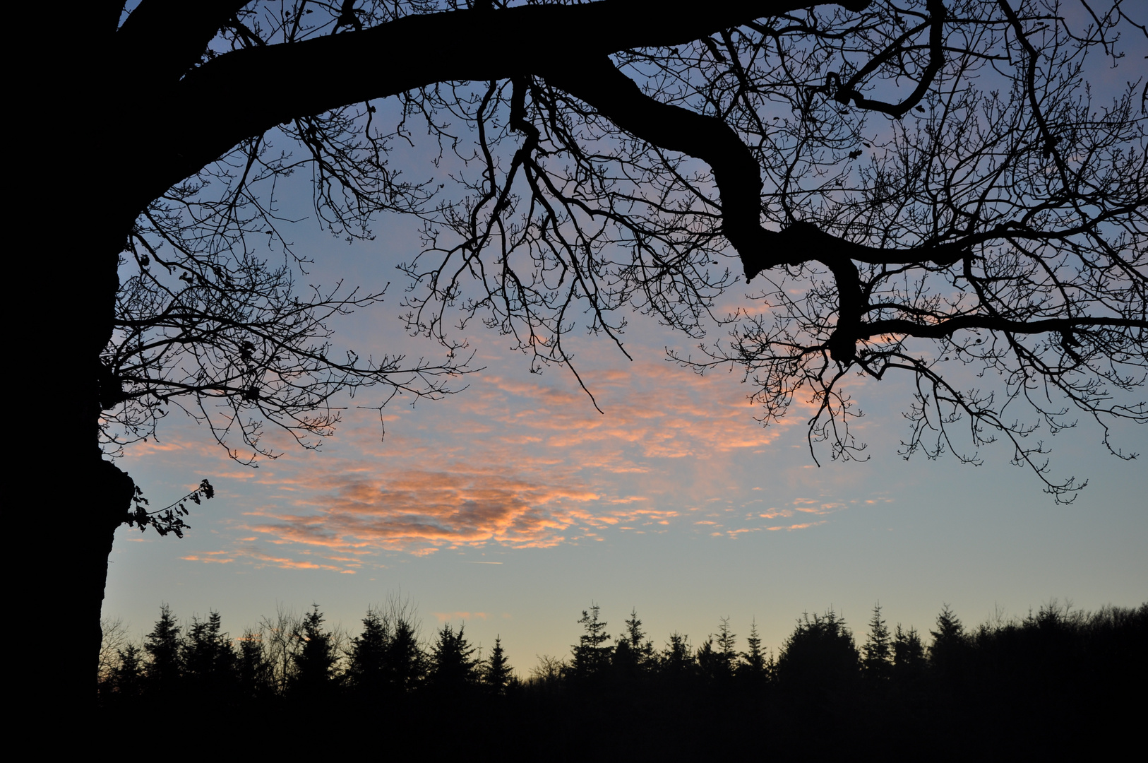 Abendwolken im Eichenrahmen