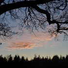 Abendwolken im Eichenrahmen