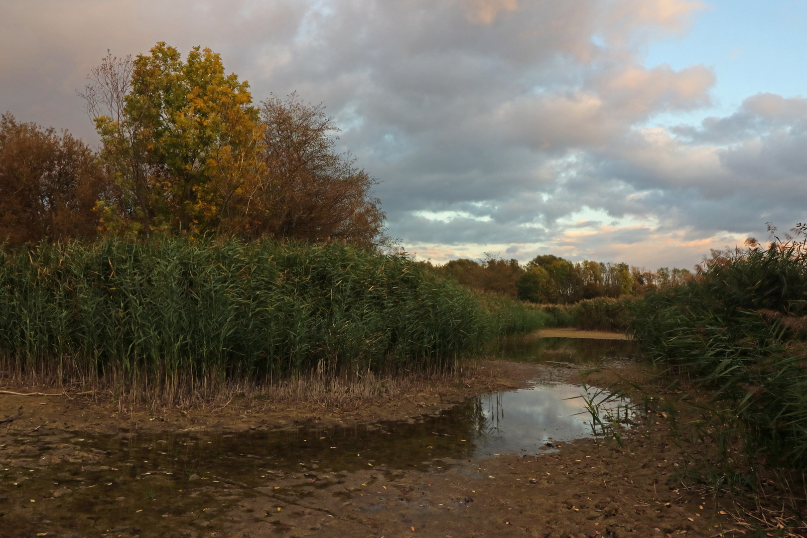 Abendwolken über dem Teich