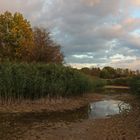 Abendwolken über dem Teich