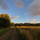 Abendwolken überm Feld