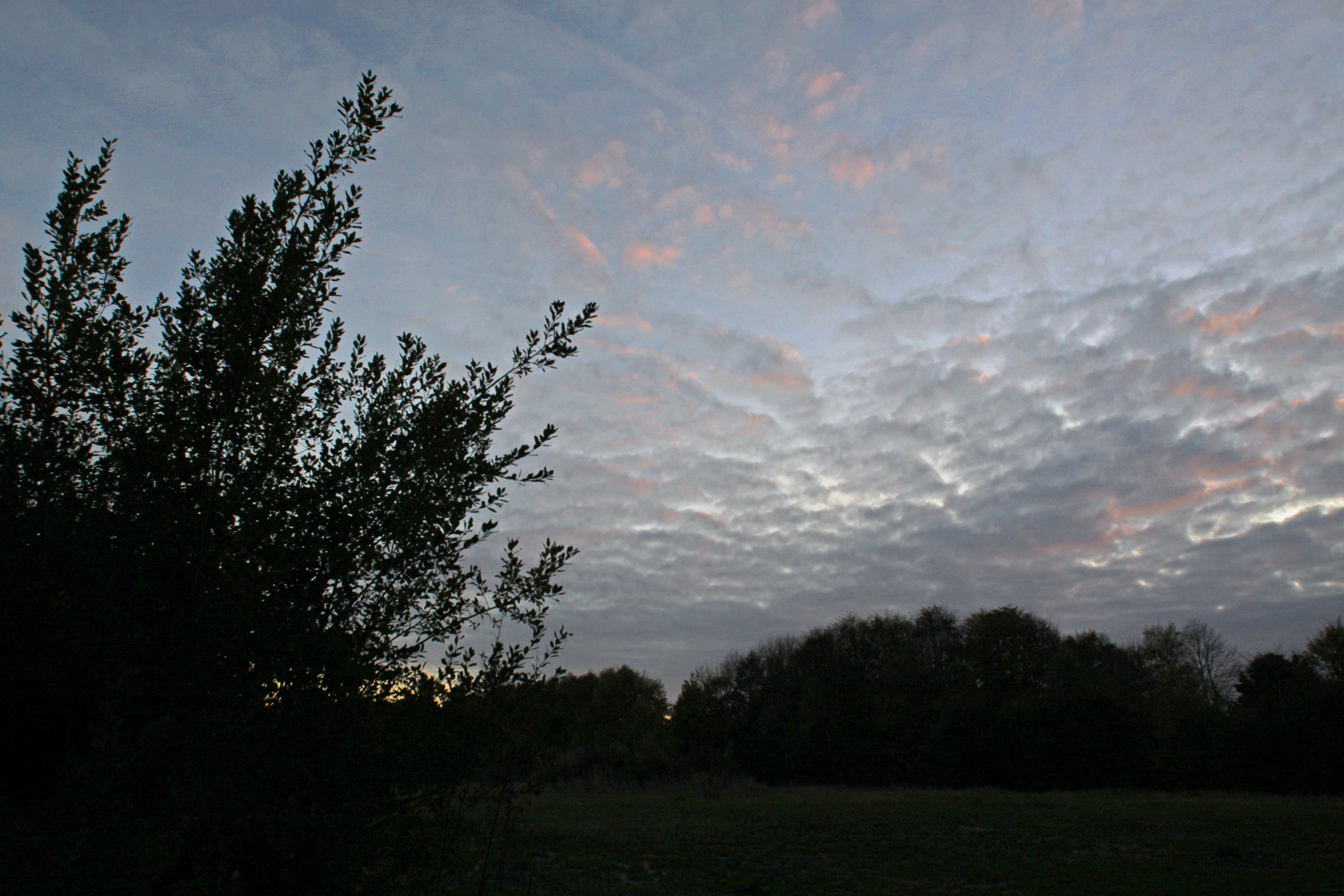 Abendwolken überm Westpark