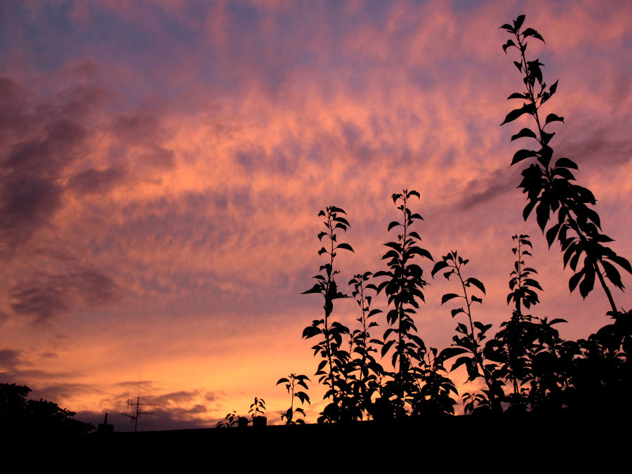 Abendzauber