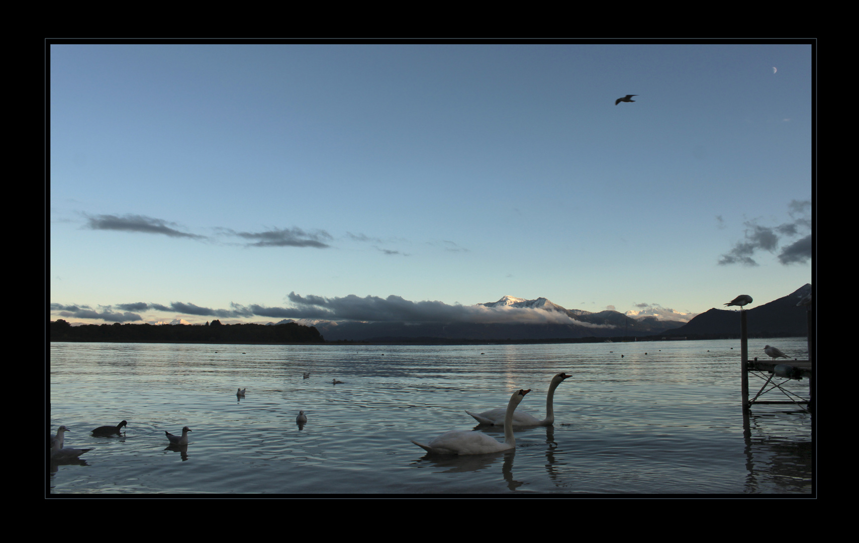 Abendzauber am See