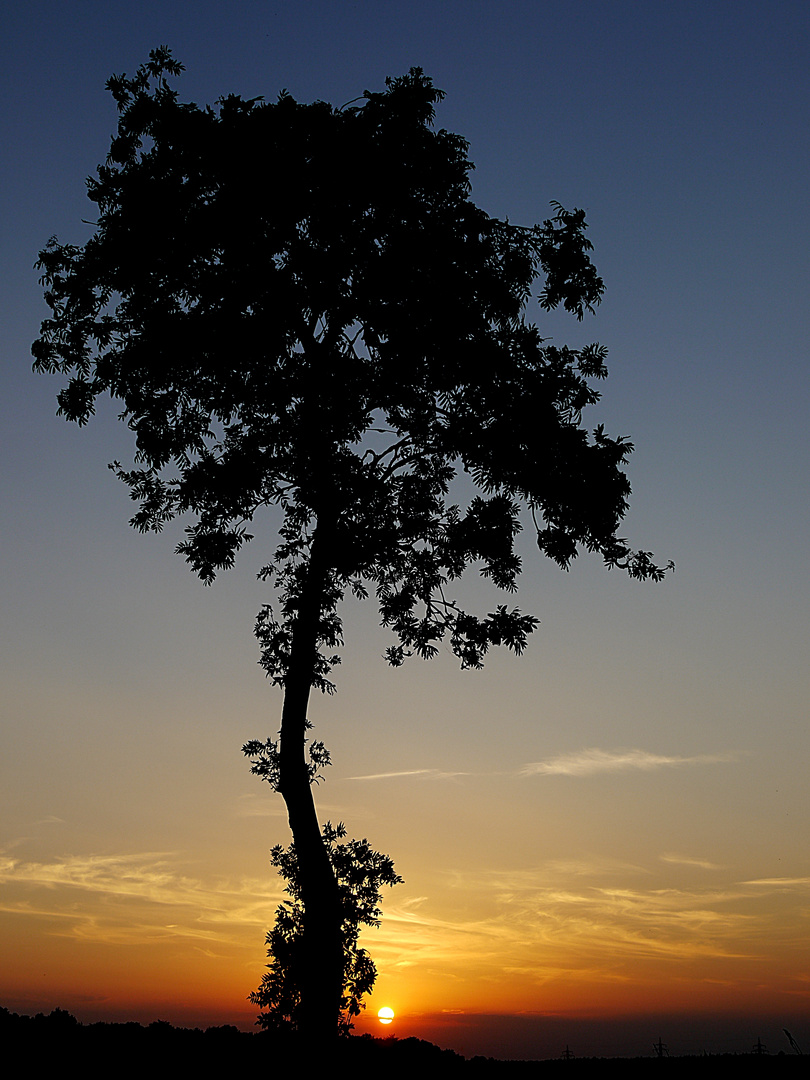 Abendzauber