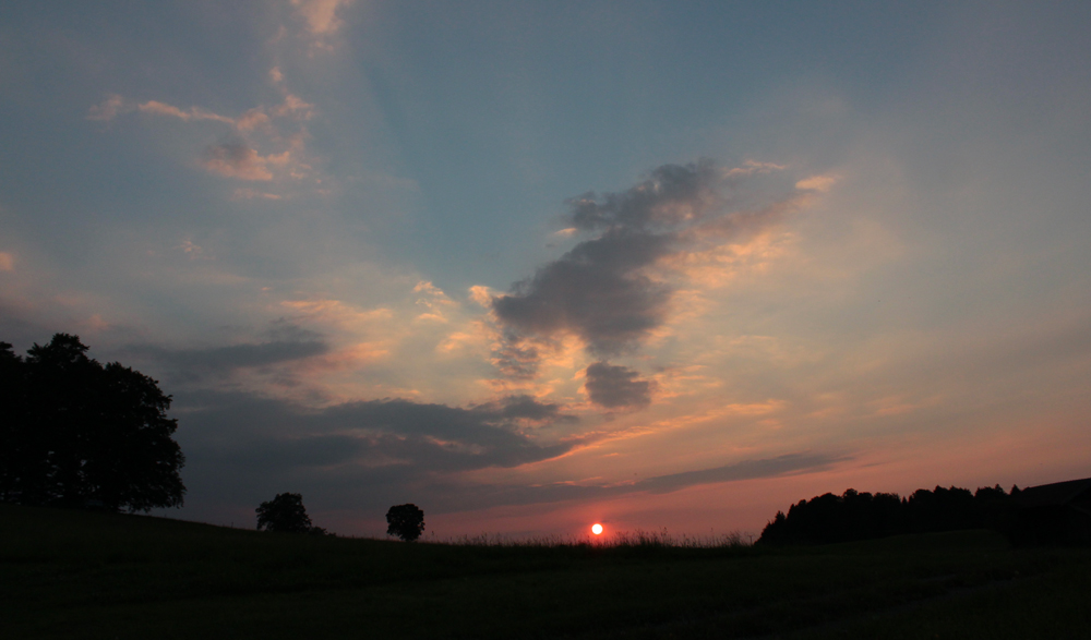 Abendzauber im Wiesengrund ...