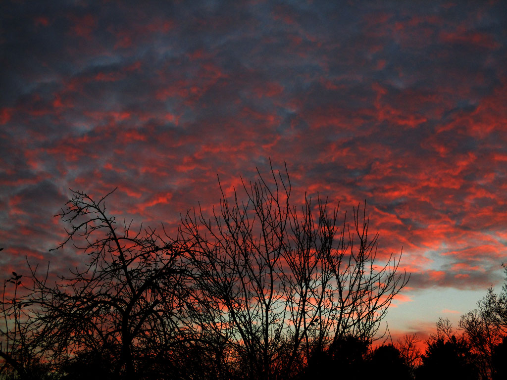  Abendzauber vom 15.11.