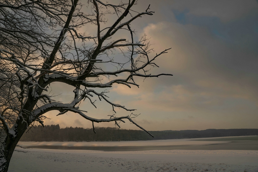 Abenspaziergang am Hevebecken der Möhnetalsperre # 05