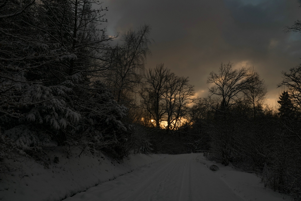 Abenspaziergang am Hevebecken der Möhnetalsperre # 09