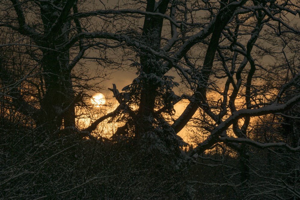 Abenspaziergang am Hevebecken der Möhnetalsperre # 10