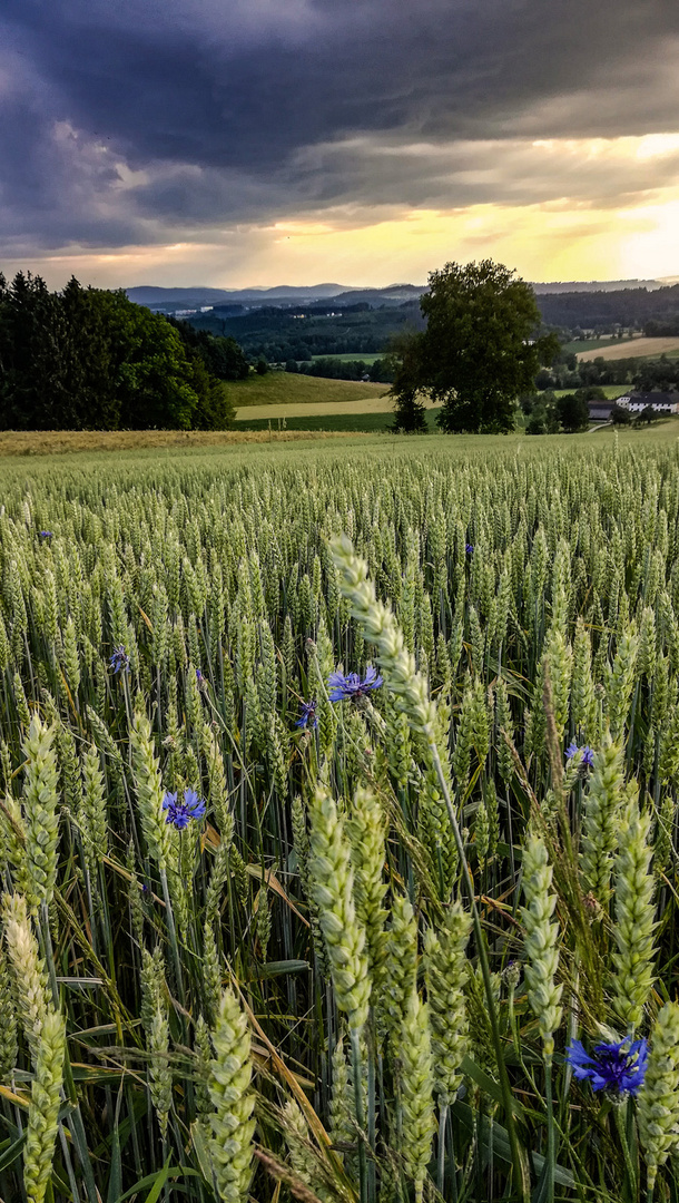 Abenstille