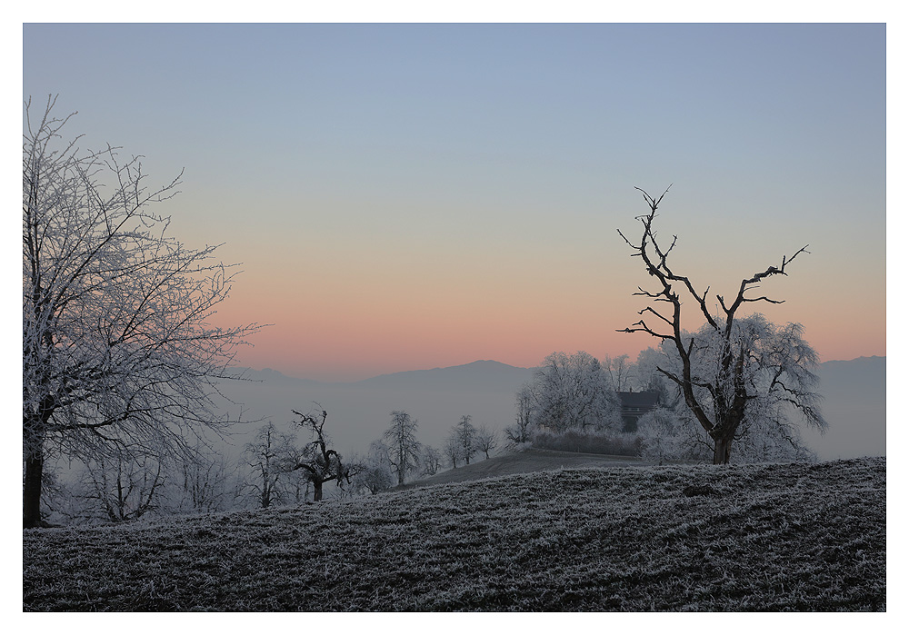 Abenstimmung