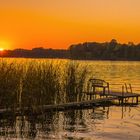 Abenstimmung am Seddinsee