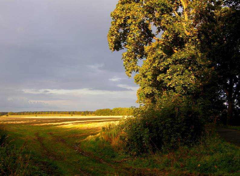 Abenstimmung bei Karnice