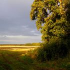 Abenstimmung bei Karnice