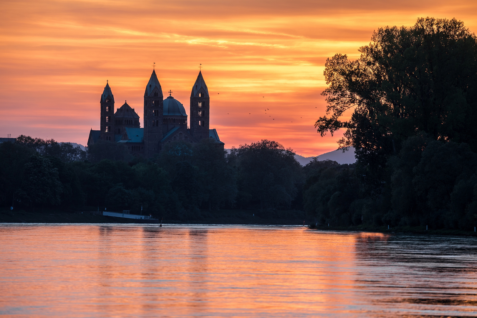 Abenstimmung bei Speyer