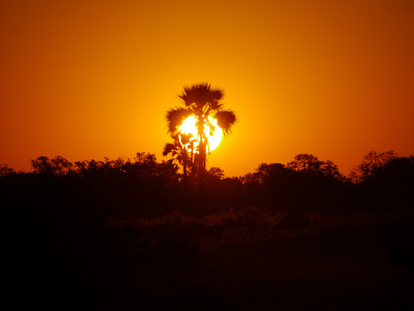 Abenstimmung Botswana