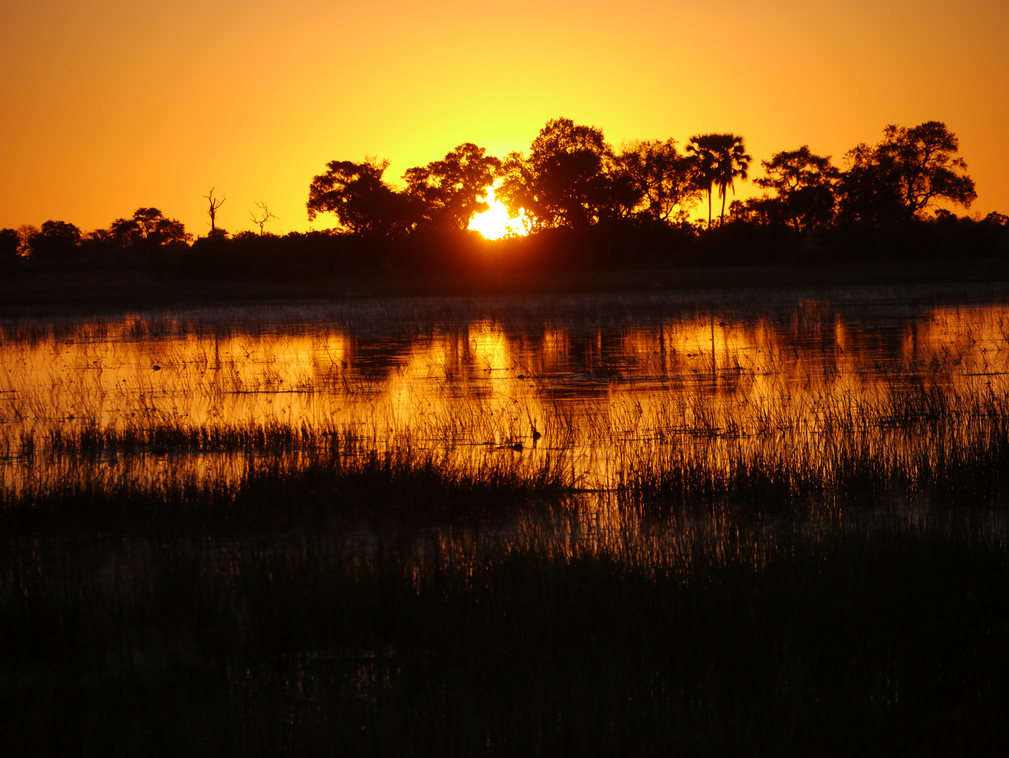 Abenstimmung Botswana