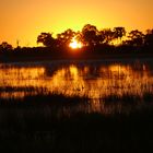 Abenstimmung Botswana